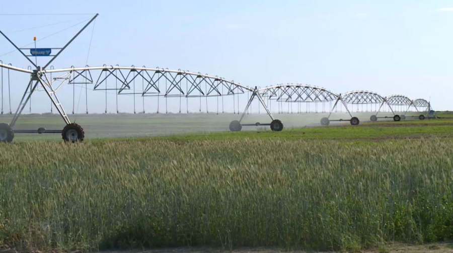 Южные регионы – в лидерах по использованию водосберегающих технологий