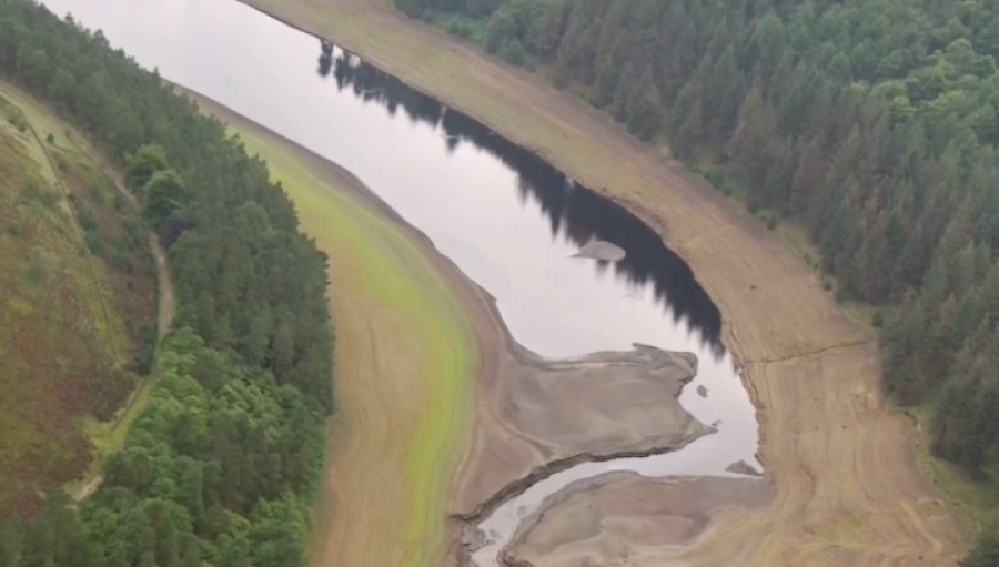 Жара привела к засухе в пяти регионах Великобритании