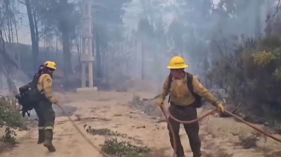 Аргентинада төрт мың гектар орман өртенді