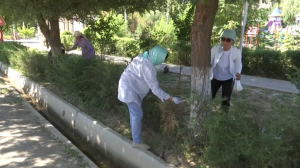 Экоакцию «Чистое село» провели в Ордабасинском районе