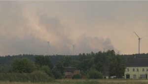 Спустя 12 дней лесной пожар в Германии взят под контроль