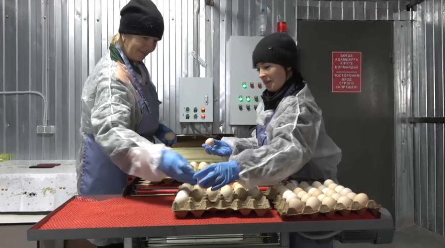 «Ауыл аманаты» бағдарламасымен 85 кооперативке несие берілді