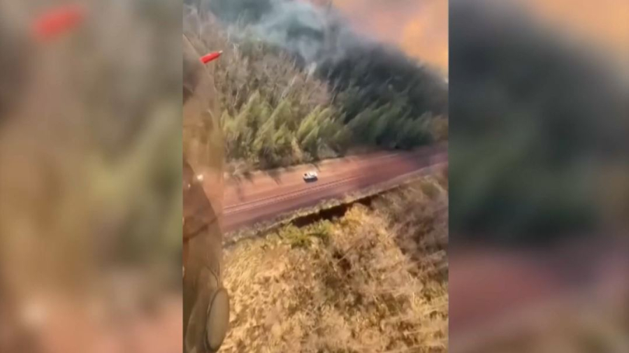 АҚШ пен Канадада орман өрті өршіп тұр