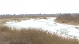 В Акмолинской области спрогнозировали пик паводка