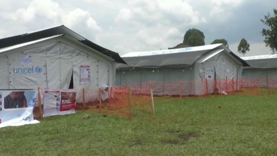 Вспышку оспы обезьян выявили в 13 странах Африки