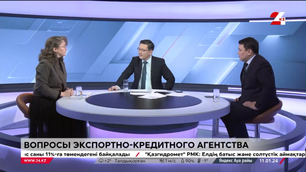 Вопросы экспортно-кредитного агентства. Дневная смена | 11.01.2024
