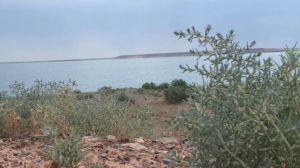 В обмелевшее озеро Кызылколь вернулась вода