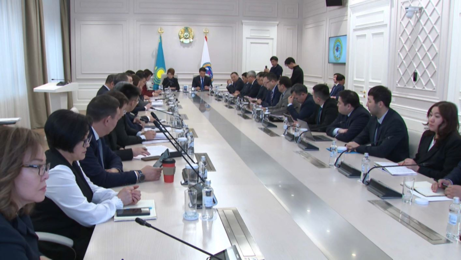 Аида Балаева Алматының білім беру және денсаулық сақтау саласындағы мәселелерді талқылады