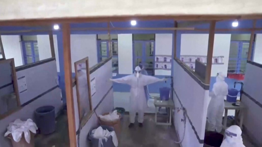 Источником Эболы в ДРК могло стать животное