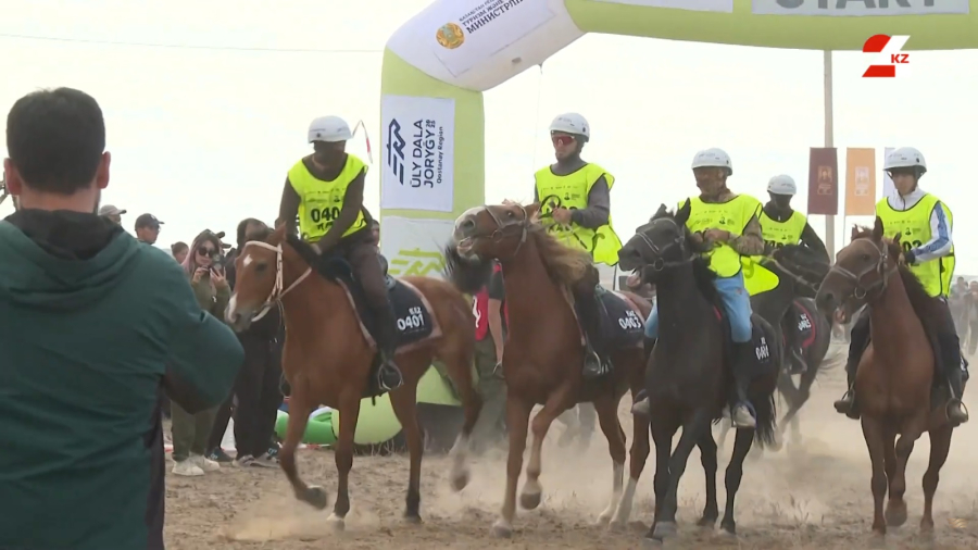 Секреты подготовки к многокилометровым конным марафонам