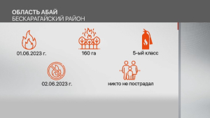 Статистика лесных пожаров в Казахстане