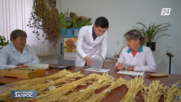 Обеспечен ли Казахстан качественными и безопасными семенами? | Депутатский запрос