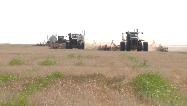 Көктемгі егіс жұмыстарын қаржыландыруға ₸206 млрд бөлінді