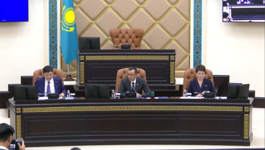 Сенатта креативті индустрияны дамытуға қатысты құжат мақұлданды