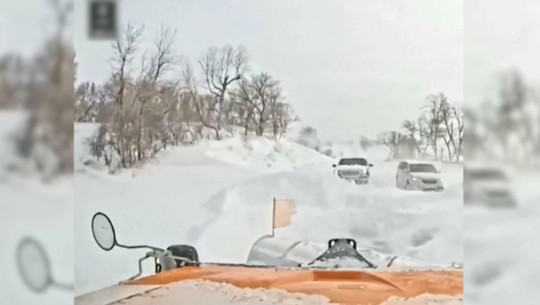 Сильные снегопады обрушились на американский штат Айова