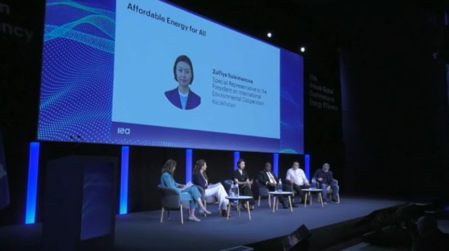 Казахстан принимает участие в конференции по энергоэффективности
