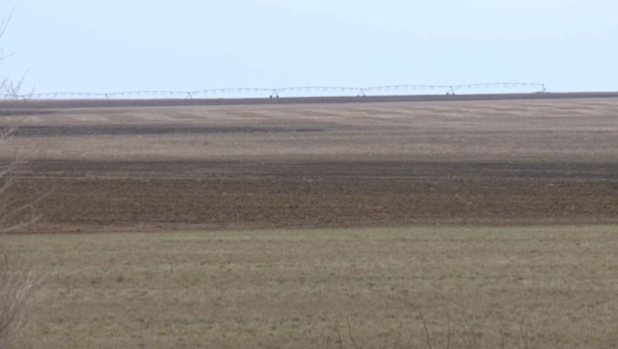 Бос жатқан жерлер шаруаларға беріліп жатыр