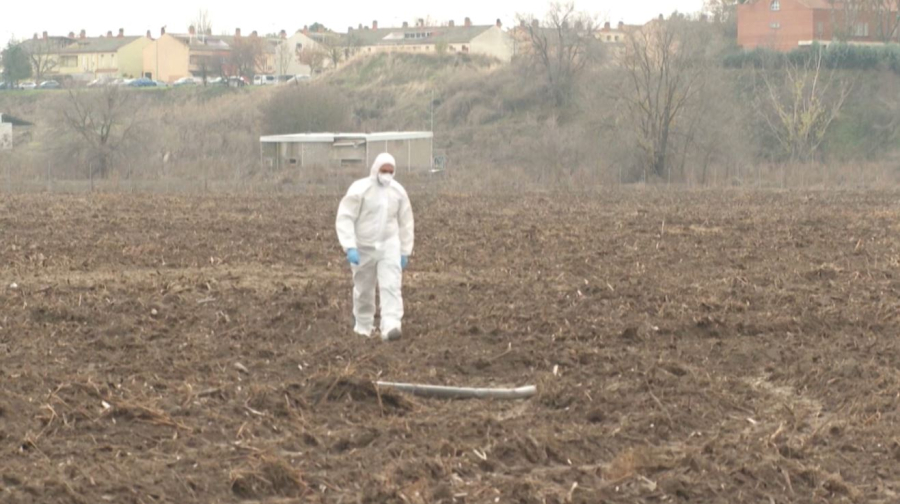 Пеликанов уничтожили из-за птичьего гриппа в зоопарке Лейпцига