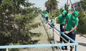 Жасылелевцы призывают казахстанцев сохранять чистоту