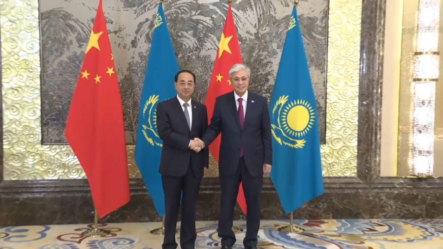 Мемлекет басшысы CRRC директорлар кеңесі төрағасымен кездесті