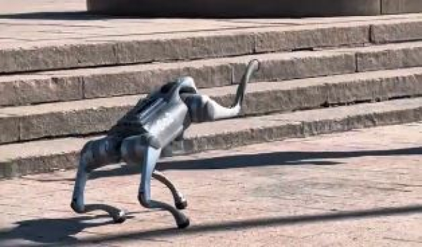 Инновационный робот-собака гуляет по Алматы