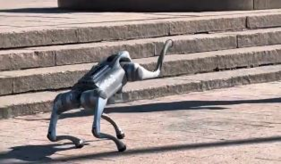 Инновационный робот-собака гуляет по Алматы
