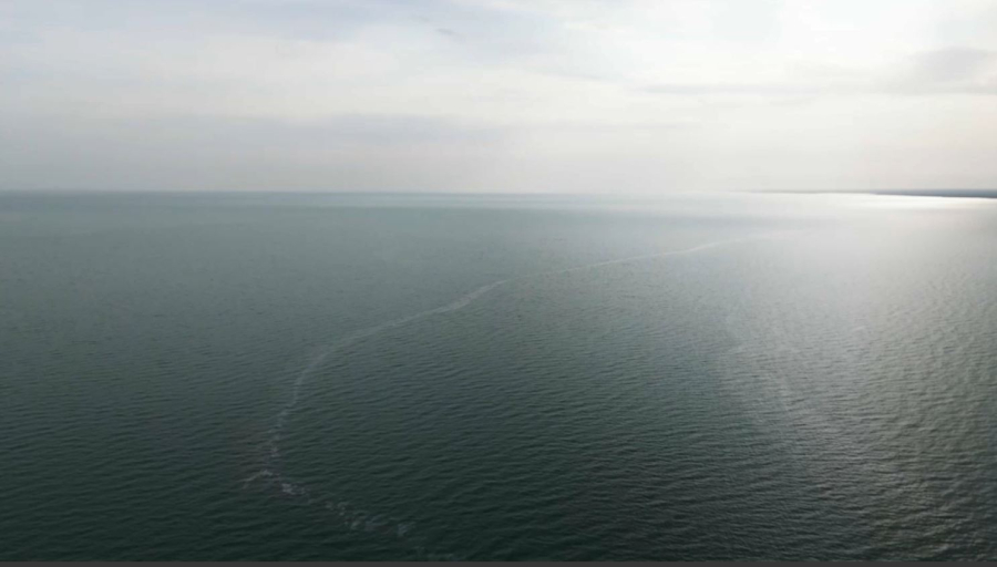 Солтүстік Аралды сақтау жобасы жалғасады