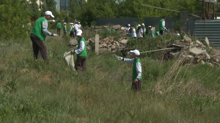 Пять тысяч школьников трудоустроят по проекту «Жасыл ел» в Астане