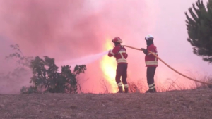 Лесные пожары продолжают бушевать в Португалии