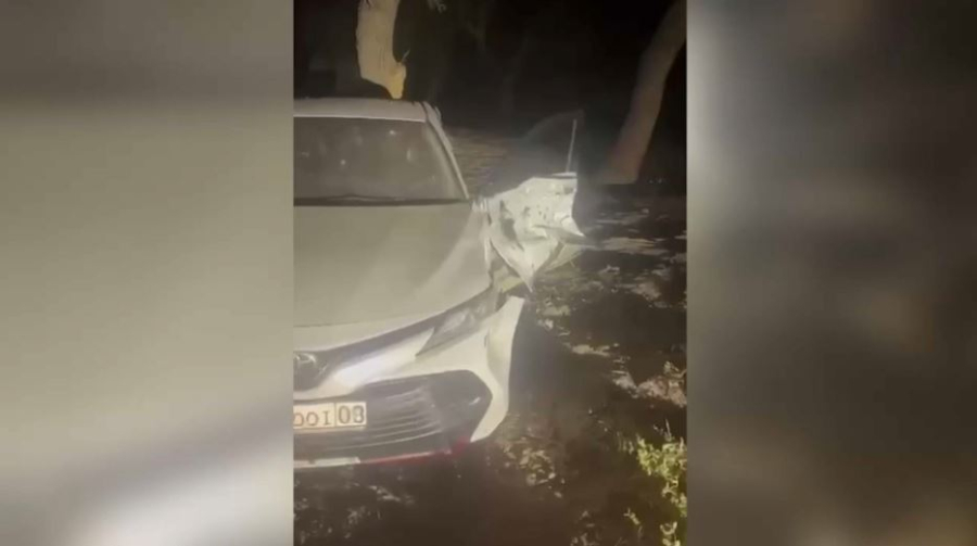 Открыли огонь и сбежали: в Мойынкуме ищут участников перестрелки