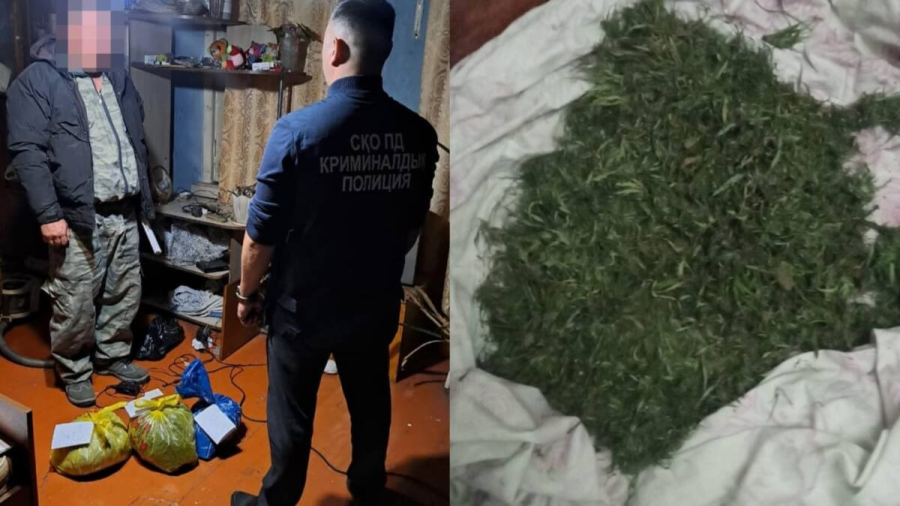 Солтүстік Қазақстанда тұрғынның үйінен 2 келіге жуық марихуана табылды