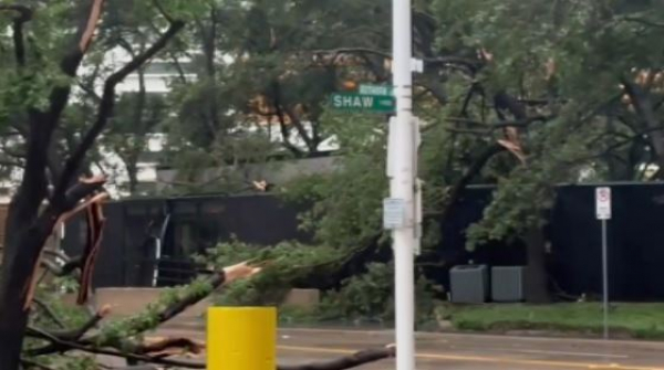 Шторм унес жизни четырех человек в Хьюстоне