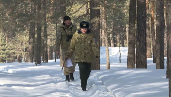 Ақмола облысында Орман шаруашылығы саласында 400-ден астам әйел еңбек етеді