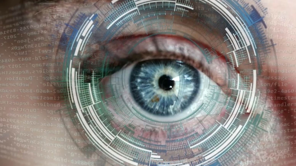 Neuralink впервые вживит человеку зрительный имплант