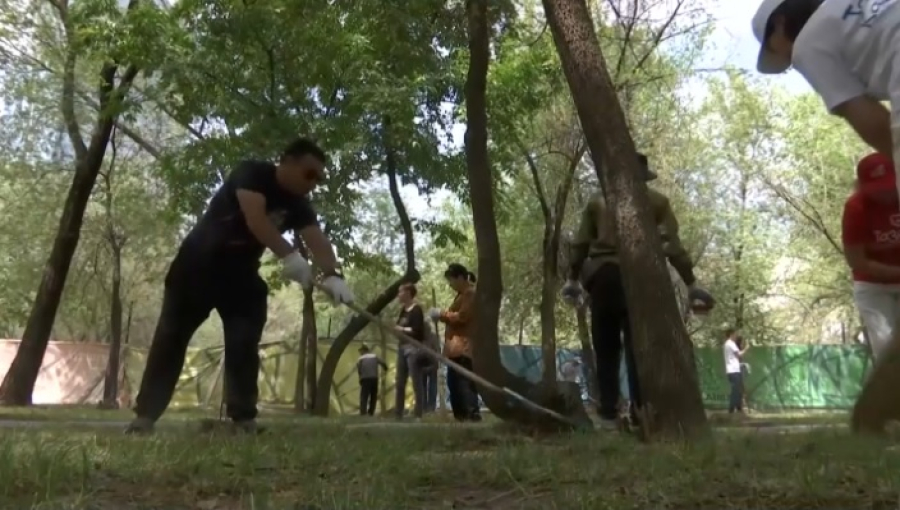 В Казахстане продолжается экологическая акция «Таза бейсенбі»