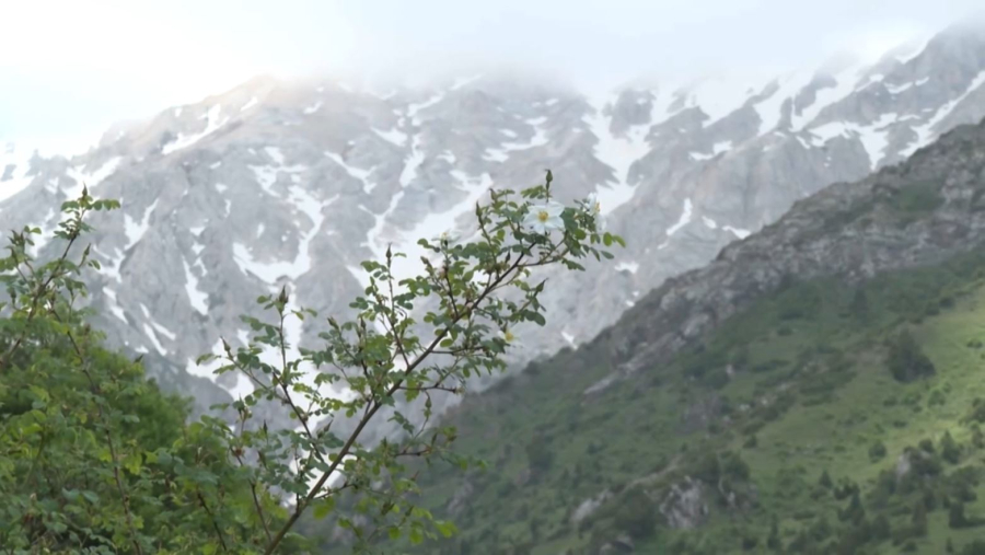 Оңтүстік өңірде туристік маусым басталды