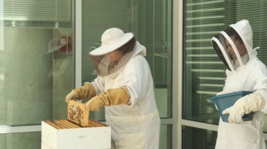 ЖИ-ды жетілдірудің жаңа тәсілі