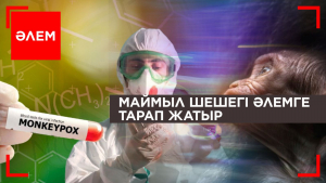 Маймыл шешегі әлемге тарап жатыр