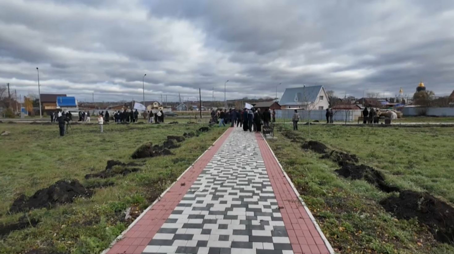 Петропавлда волонтерлер аллеясы ашылды