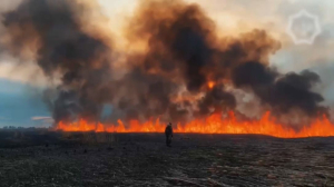 Пожар на побережье Каспия потушили спустя неделю