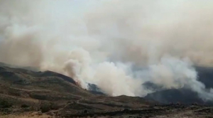 Лесные пожары в Перу и Боливии уничтожили сотни га зеленых насаждений