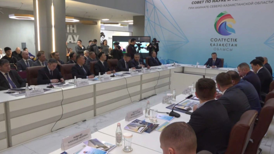 Жаңа Конституция жобасы тың идеяларға мүмкіндік береді