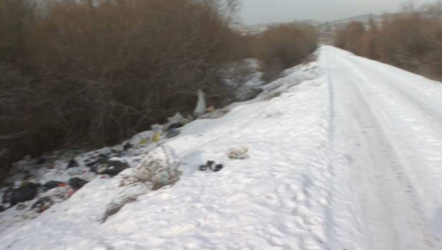 Талдықорғанда өзен жағасын қоқыс жайлап жатыр