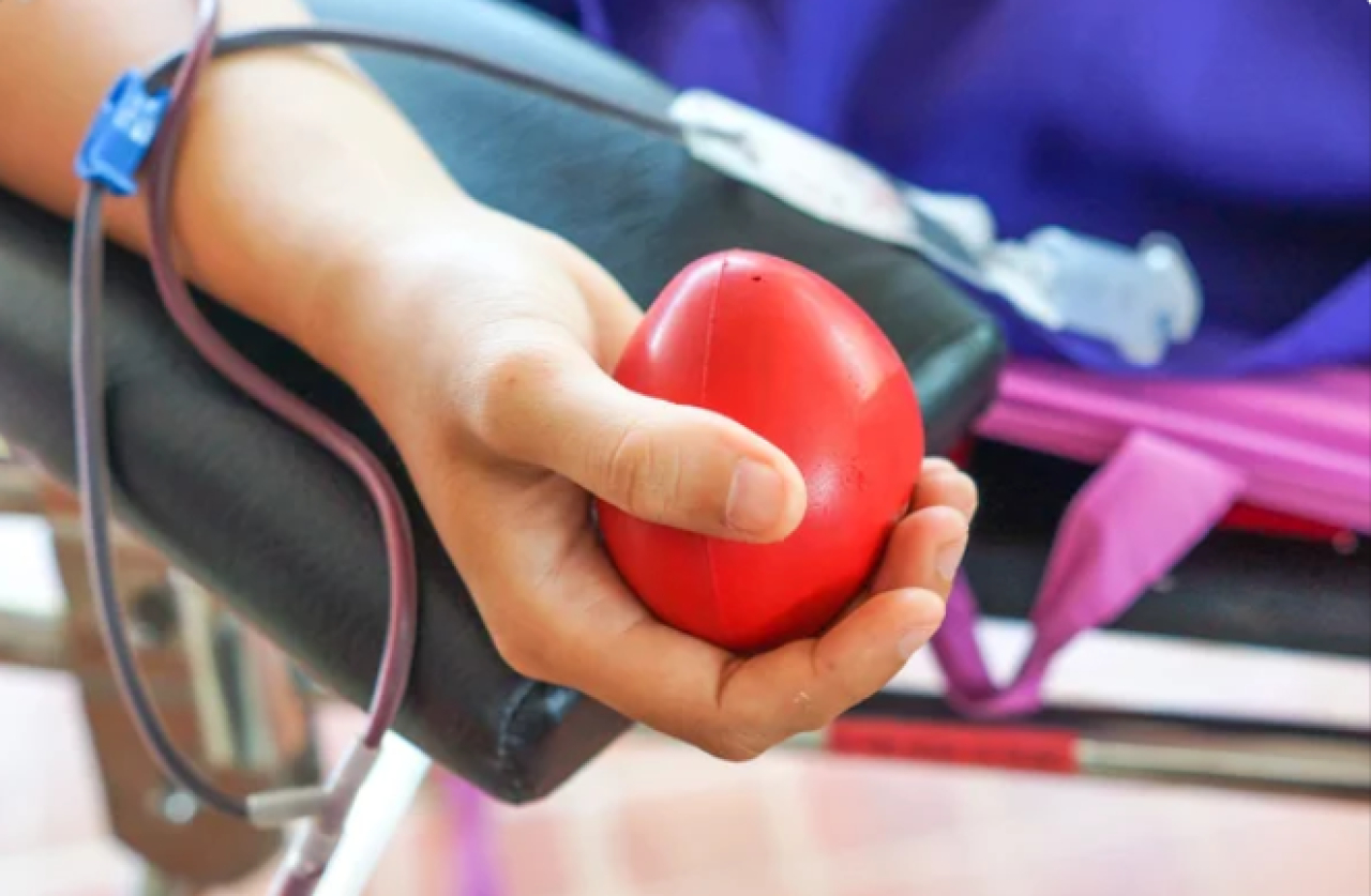 Минздрав объявил февраль месяцем донорства крови