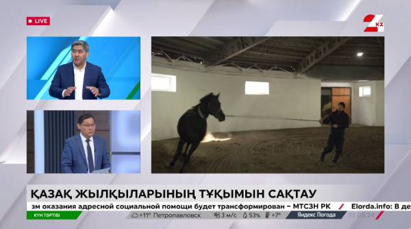 Қазақ жылқысының тұқымын сақтау