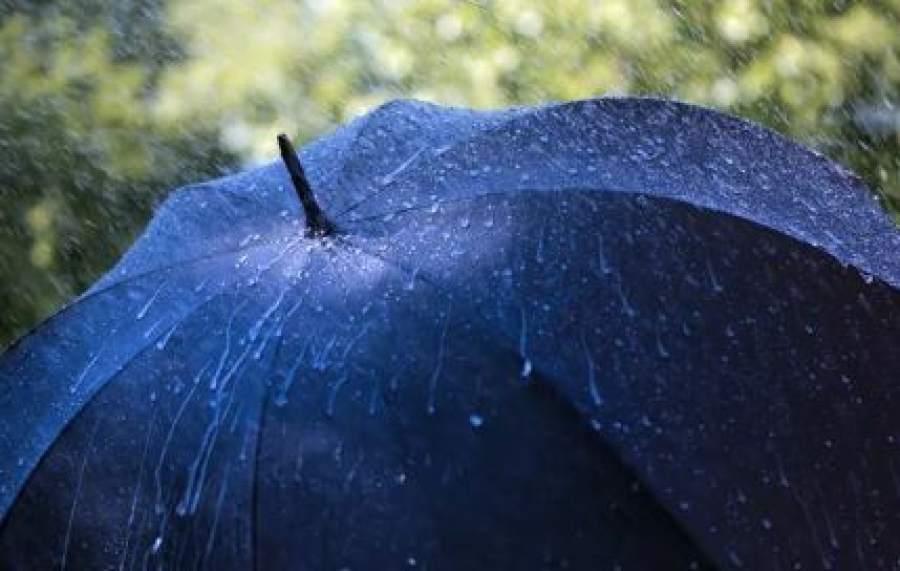 Дожди, грозы и ветер прогнозируют в Казахстане