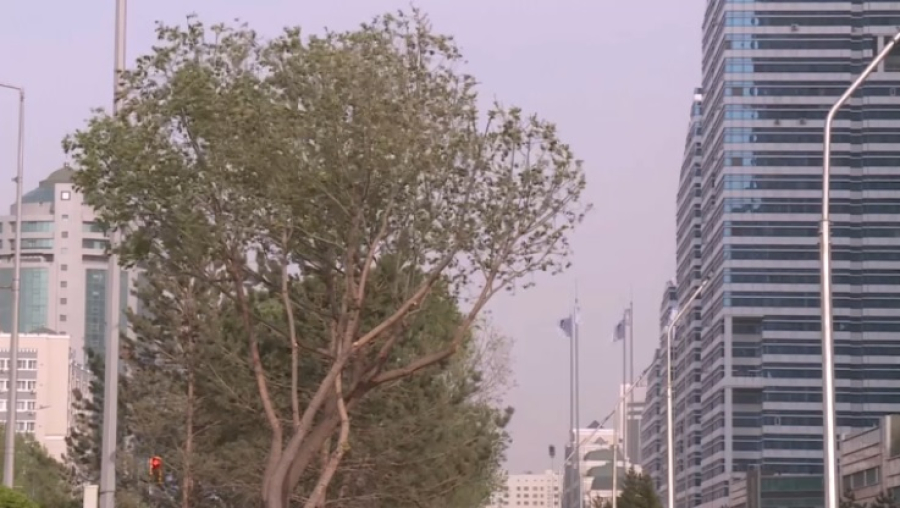 В 16 регионах Казахстана объявлено штормовое предупреждение