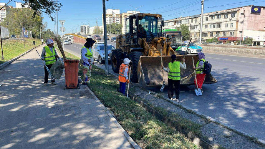Вопросы экологии и санитарного состояния города обсудили в Алматы