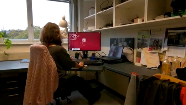 Жасанды интеллект жануарлардың эмоциясын тануды үйренді