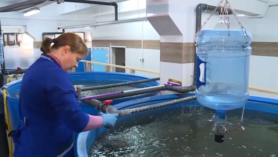 Ақтөбе облысында балық шаруашылығы екі есе артты